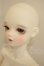 画像3: Foveo/Pie A-26-09-21-201-NY-ZA (3)