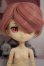 画像1: Harmonia humming/ラム A-26-09-21-219-NY-ZA (1)
