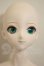 画像1: DDF3ベースボディ/DDH-09彩色ヘッド A-26-09-21-217-NY-ZA (1)