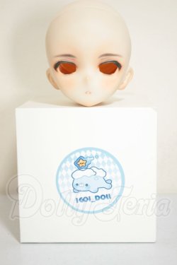 画像4: DDH-10/カスタムヘッド A-26-09-28-112-YB-ZA