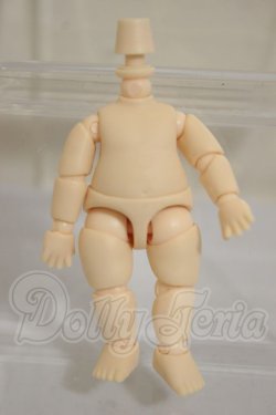 画像1: YMY/幼体　約5.5ｃｍ A-26-10-05-273-NY-ZA