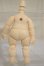 画像2: YMY/幼体　約5.5ｃｍ A-26-10-05-273-NY-ZA (2)