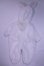 画像1: MDD/OF:着ぐるみ/0 A-26-10-12-002-NY-ZA (1)