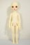 画像5: DREAMING DOLL/Mew Marron-a type A-26-09-28-253-NY-ZA (5)
