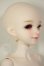 画像2: Asleep Eidolon/1/4 DingDang A-26-09-28-255-NY-ZA (2)