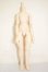 画像1: MDD/ベースボディ・DD-F3 A-26-09-28-355-NY-ZA (1)