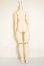 画像2: MDD/ベースボディ・DD-F3 A-26-09-28-355-NY-ZA (2)