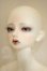 画像3: little monica/Chloe A-26-09-28-362-NY-ZA (3)