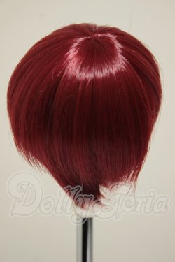 画像2: 6-7inch/ウィッグ A-26-09-28-388-NY-ZA