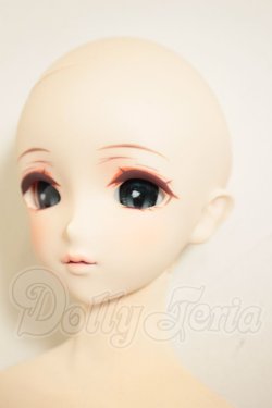画像2: DD2.0ボディ/DC-H-31　M02メイク　ドリームチョイス A-26-09-28-351-NY-ZA