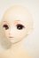 画像2: DD2.0ボディ/DC-H-31　M02メイク　ドリームチョイス A-26-09-28-351-NY-ZA (2)
