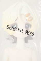 箱入りファーリー BOXED FURRY/小さなシェフ A-26-10-05-136-NY-ZA
