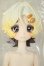 画像1: 箱入りファーリー BOXED FURRY/小さなシェフ A-26-10-05-136-NY-ZA (1)