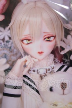 画像1: DDH-09/SION様カスタム A-26-10-05-102-NY-ZA