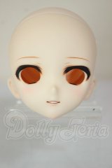 DDH-10/カスタムヘッド A-26-10-05-109-NY-ZA