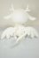 画像2: LOONG SOUL DOLL/Pet-Poi A-26-10-05-101-NY-ZA (2)