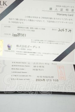 画像3: LOONG SOUL DOLL/Pet-Poi A-26-10-05-101-NY-ZA