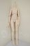 画像1: MDD/ベースボディ2.0 A-26-10-05-127-NY-ZA (1)