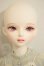 画像1: Myoudoll/1/4 Delia A-26-10-05-301-NY-ZA (1)