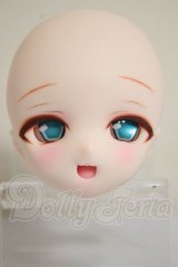 DDH-01/カスタムヘッド A-26-10-05-259-NY-ZA