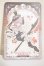 画像1: ルナロア 月光童話物語 2 /薔薇の紳士 シル A-26-10-05-383-NY-ZA (1)