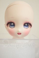 DD/DDH-27:カスタムヘッド A-26-10-12-302-NY-ZA