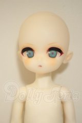 TinyFox/男の子ボディ・ヘッド A-26-10-05-381-NY-ZA