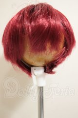 8-9inch/ウィッグ A-26-10-05-298-NY-ZA