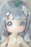 画像1: ANTU　アンティーユ　萌獣魔法シリーズ/霜霜兎 A-26-10-12-147-NY-ZA (1)