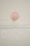 画像2: KUMUKUKU/Seed Vill A-26-10-12-283-NY-ZA (2)