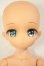 画像1: DOLLBOT/DBC アリシア 緑目ver.（ブラックダイヤモンド肌） A-26-10-12-200-NY-ZA (1)