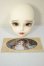 画像5: MYOU DOLL/Delia 1/3Ver. Head A-26-10-12-193-NY-ZA (5)