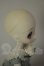 画像4: DOLLCE/ミニスウィーツドール スノーシナモン A-26-10-12-218-NY-ZA (4)