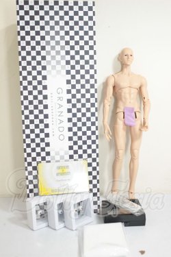 画像4: GRANADO/1/6 Male Body A-26-10-12-316-NY-ZA