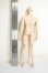 画像5: GRANADO/1/6 Male Body A-26-10-12-316-NY-ZA (5)