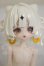 画像1: COME4FREE/MINTY(ミンティ) 運勢おみくじの精霊 A-26-10-12-313-NY-ZA (1)