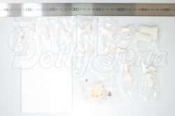 画像2: ブラインドドール/パーツ A-26-10-12-321-NY-ZA