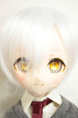 画像1: MDD/DDH-28　D'COORD A-26-10-12-344-NY-ZA