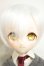 画像1: MDD/DDH-28　D'COORD A-26-10-12-344-NY-ZA (1)