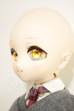 画像4: MDD/DDH-28　D'COORD A-26-10-12-344-NY-ZA