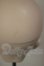 画像5: MDD/Yuzu(ゆず) A-26-10-19-137-NY-ZA (5)