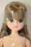 画像1: リカちゃんキャッスル/お人形教室スタンダードリカちゃん A-26-10-19-119-NY-ZA (1)