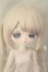 画像1: 無症状/霜 A-26-10-19-158-NY-ZA (1)