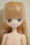 画像1: OIOI Studio/変身☆電気街blood A-26-10-19-280-TN-ZA (1)