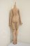 画像2: imomodoll/1/4 Boy Body A-26-10-19-271-TN-ZA (2)