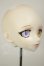 画像2: DDH-03/カスタムヘッド A-26-10-26-118-NY-ZA (2)