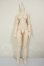 画像1: MDD/ベースボディIII A-26-10-26-117-NY-ZA (1)