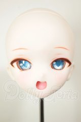 DDH-10/カスタムヘッド A-26-10-26-111-NY-ZA