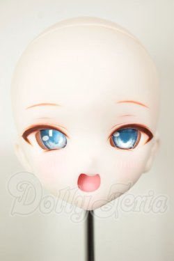 画像1: DDH-10/カスタムヘッド A-26-10-26-111-NY-ZA