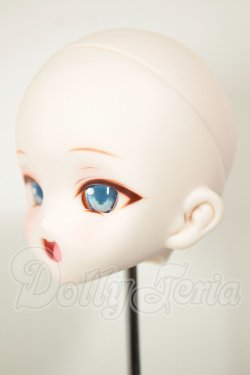 画像3: DDH-10/カスタムヘッド A-26-10-26-111-NY-ZA